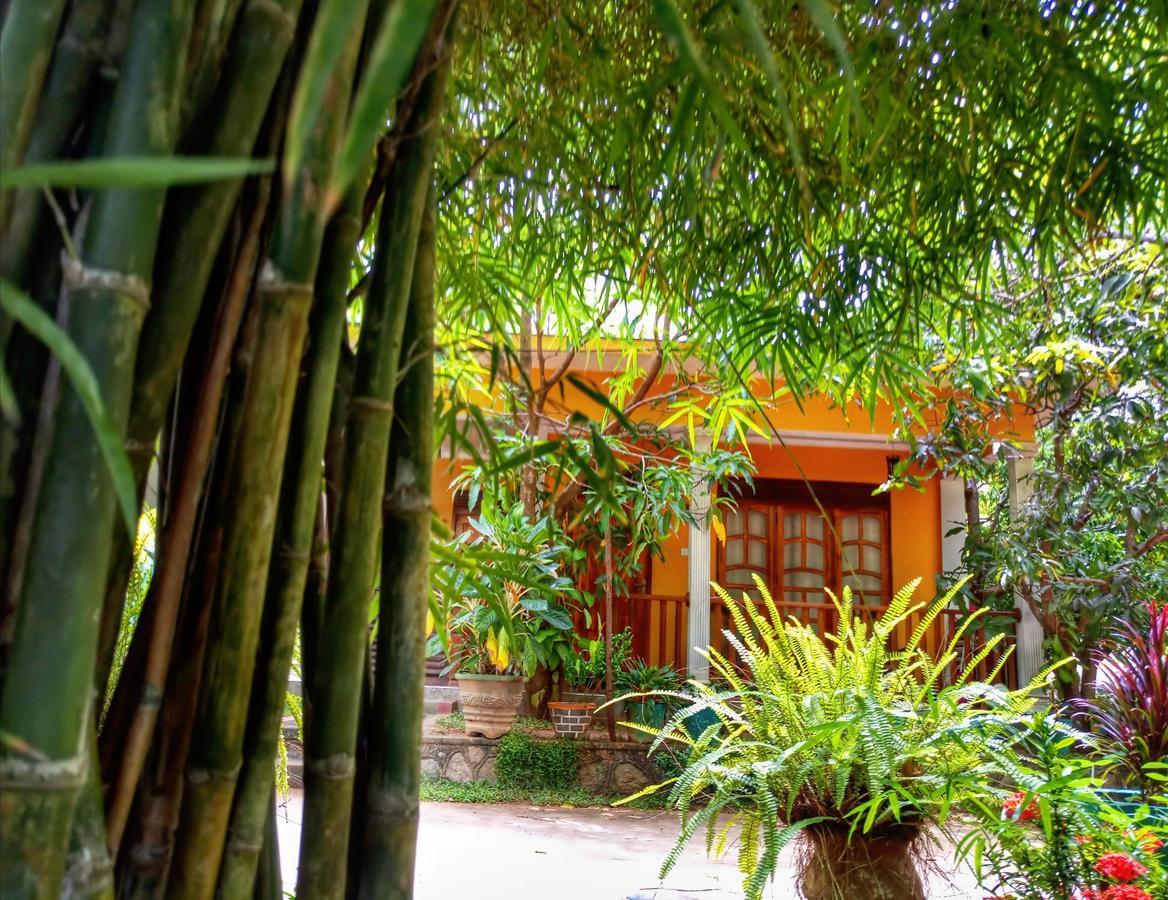 Sigiri Regal Residence Sigiriya Exterior photo